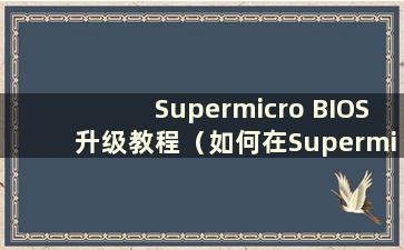 Supermicro BIOS升级教程（如何在Supermicro主板上安装系统）